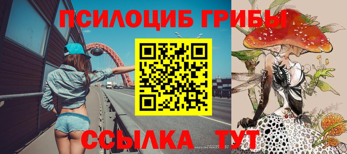 Кизилюрт  Галлюциногенные грибы Cubensis  Вход с VPN 